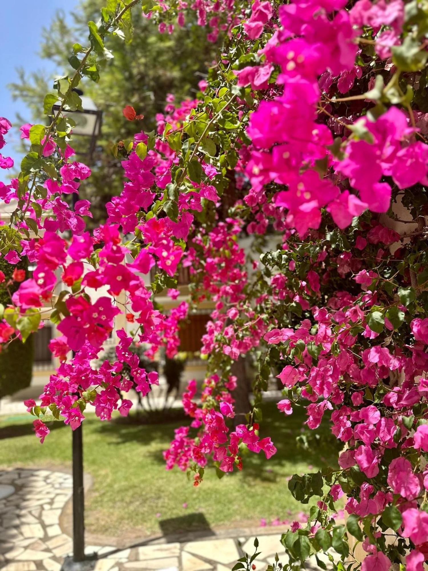 Casa Veranera Vera Costa Playas de Vera Экстерьер фото